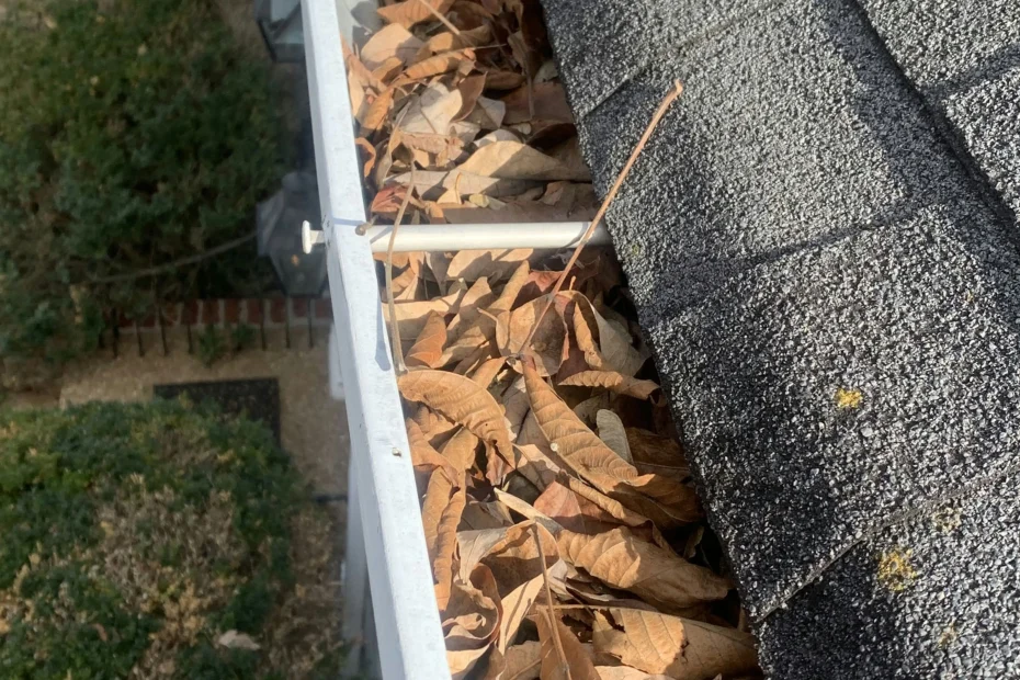 Gutter Cleaning Laceys Spring